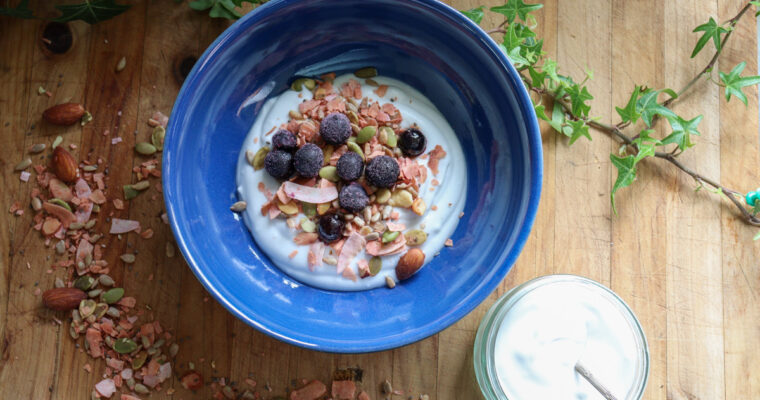 Dairy Free Coconut Yogurt with Muesli and Blueberries