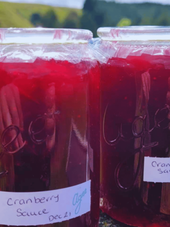 two jars of red cranberry sauce