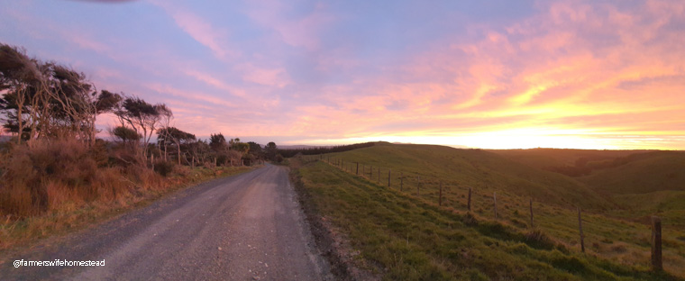 sitting in a Ute overlooking farmland, trees and a sunset