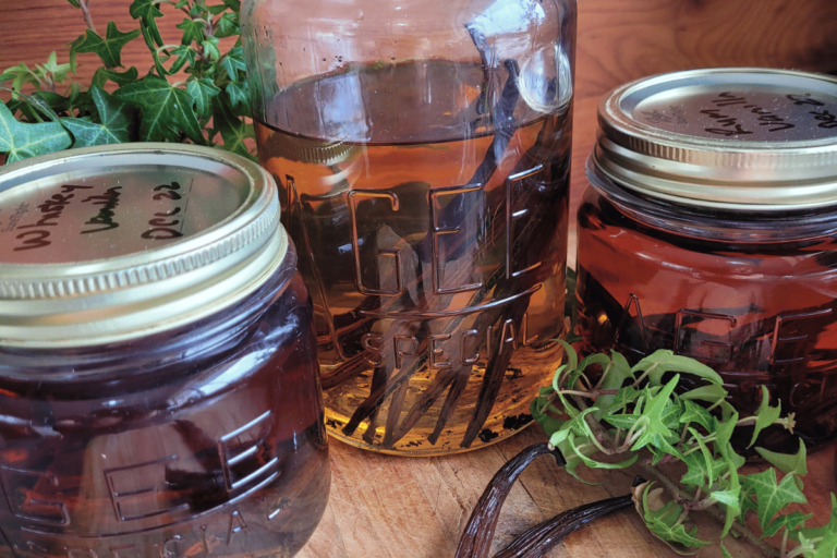 3 jars of homemade vanilla extract