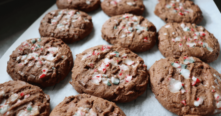 Double Chocolate Christmas Cookies Dry Mix