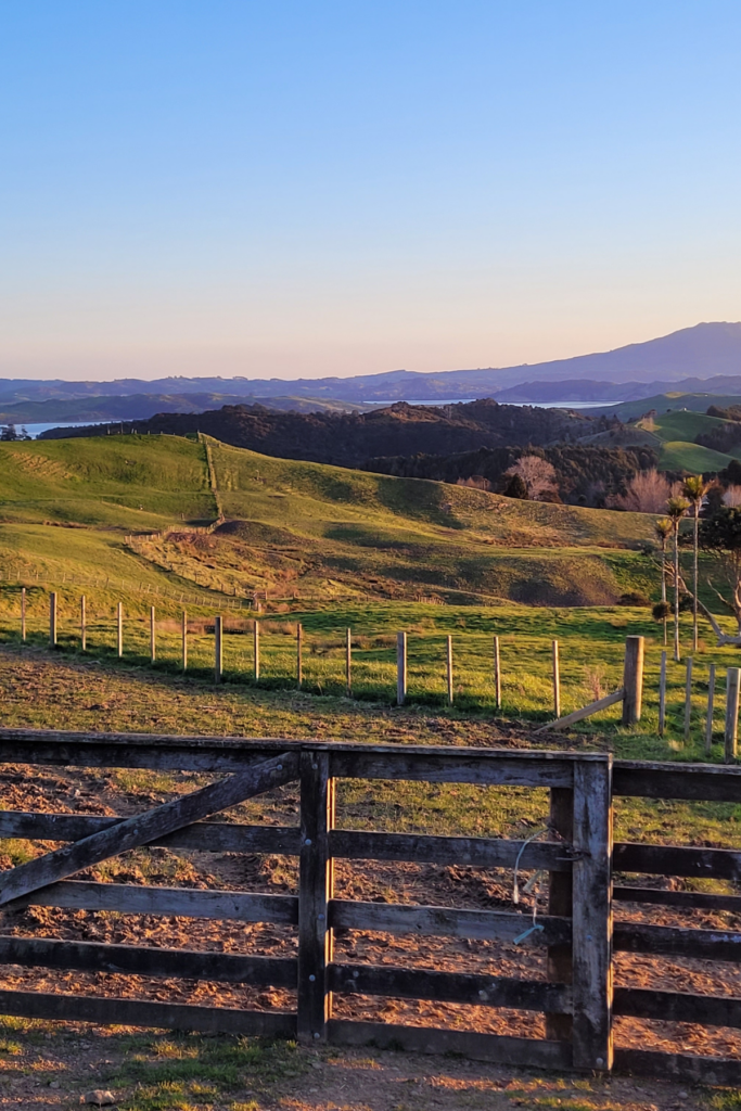 farm scene with a wooden gate