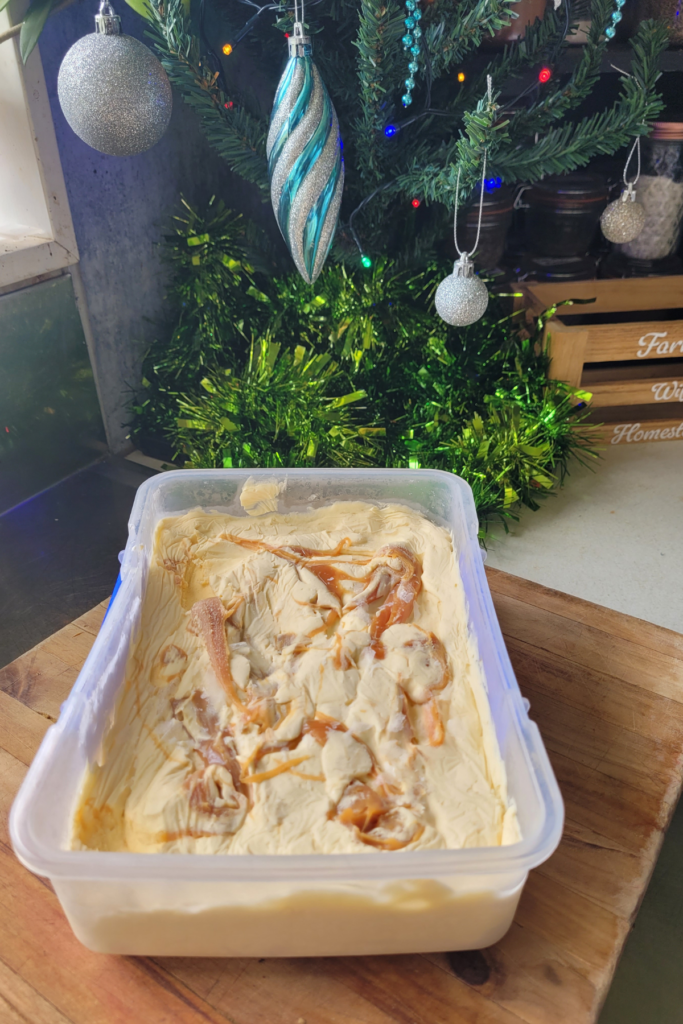 Salted Caramel Ice Cream in a plastic container on a wooden board