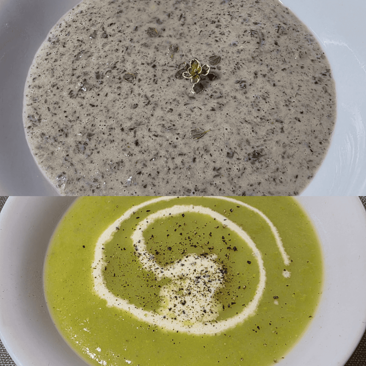 Cozy Comfort in a Bowl: Creamy Mushroom Soup & Potato Leek Soup
