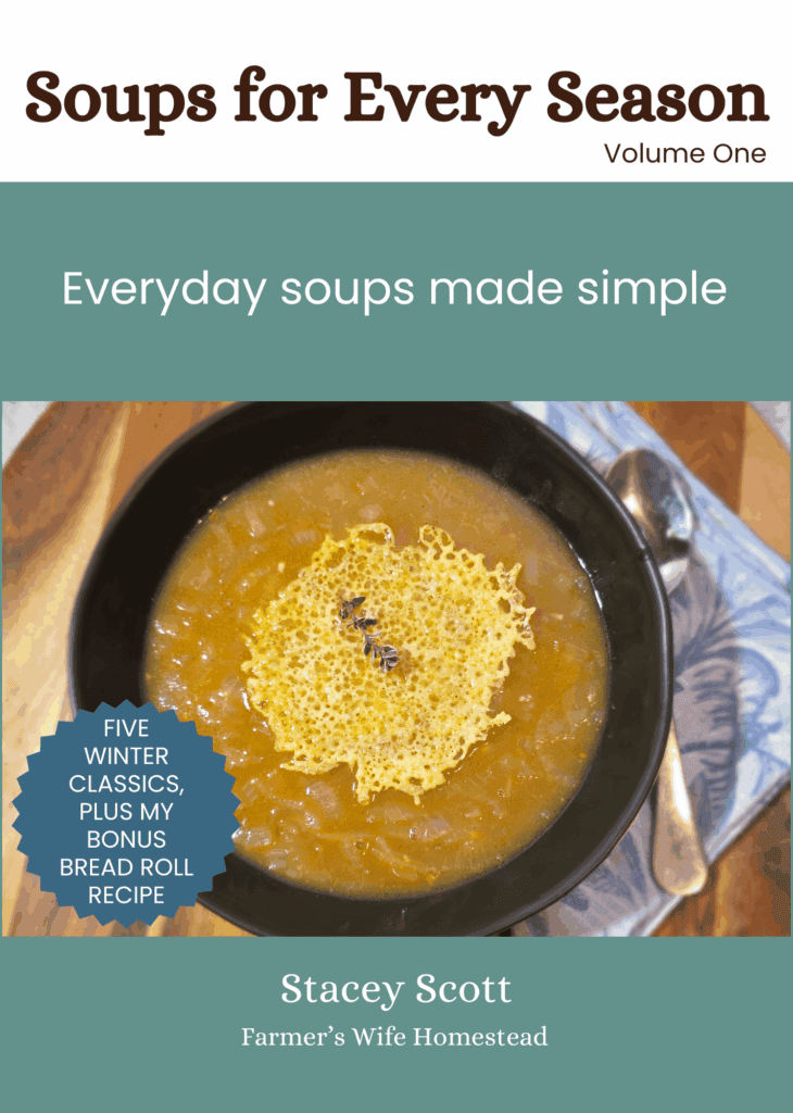 cover photo of soups for every season with a photo of french onion soup