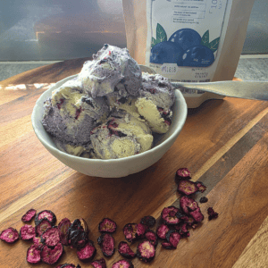 blueberry ripple ice cream in a bowl