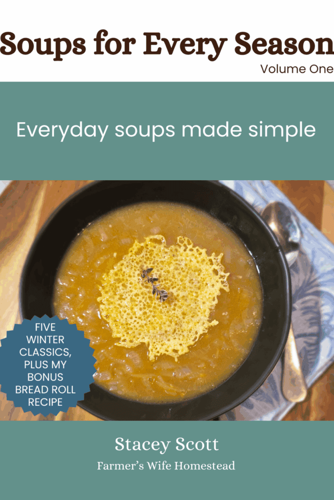 front cover of my ebook soups for every season