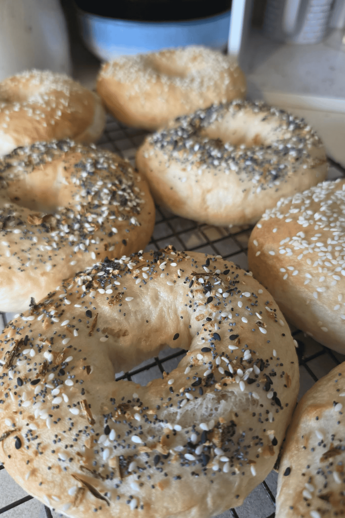 Easy Bagels from Scratch